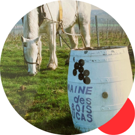 {{brizy_dc_image_alt imageSrc=