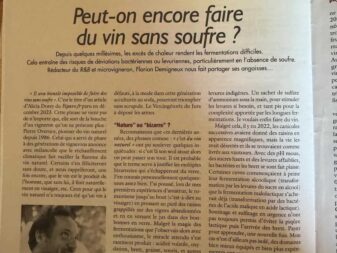 {{brizy_dc_image_alt entityId=