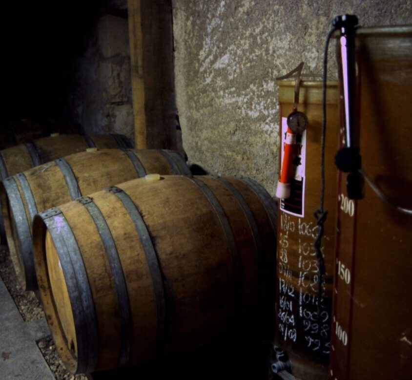 {{brizy_dc_image_alt imageSrc=