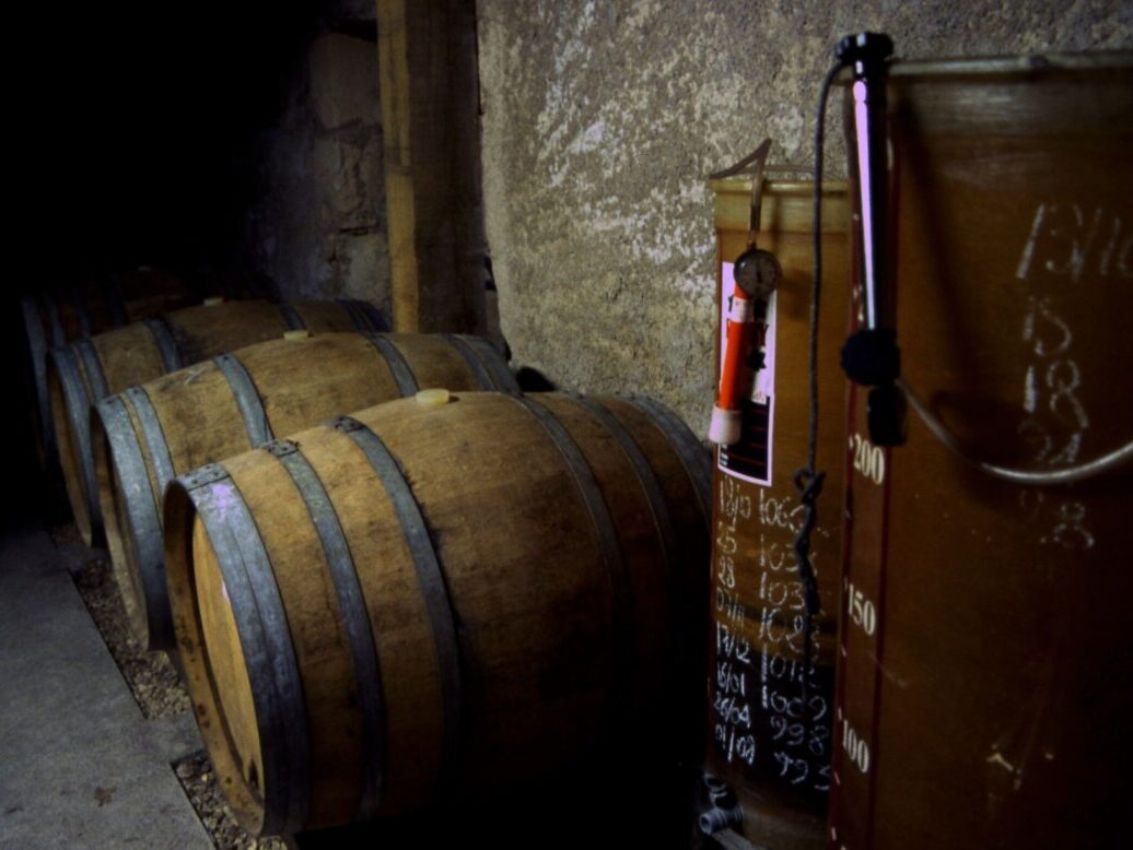 {{brizy_dc_image_alt imageSrc=