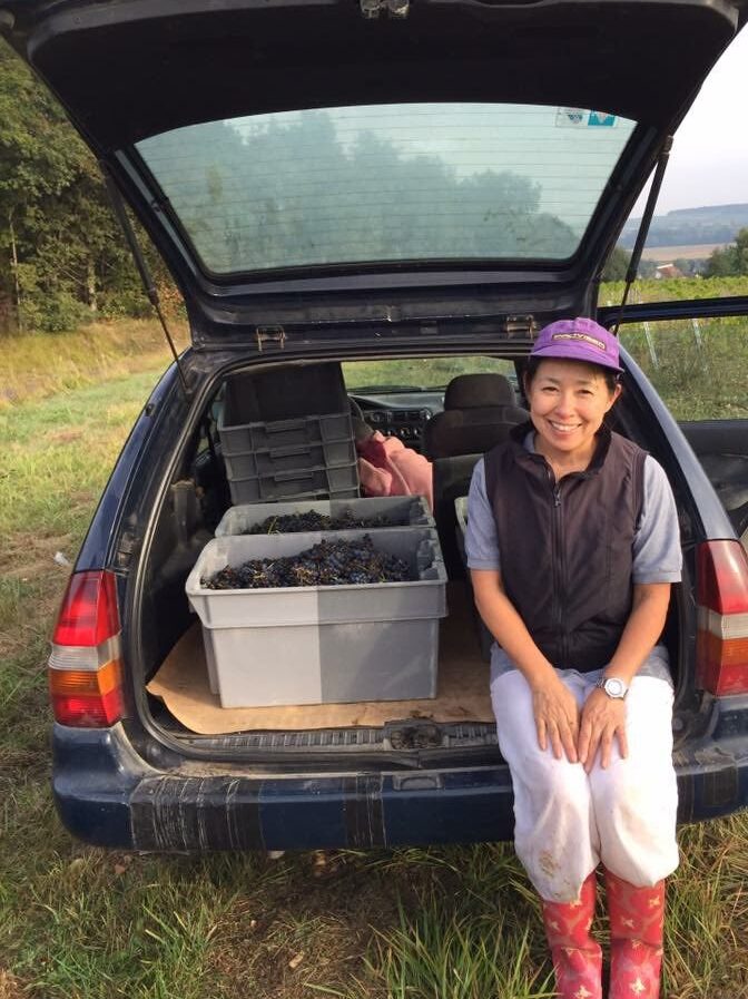 {{brizy_dc_image_alt imageSrc=