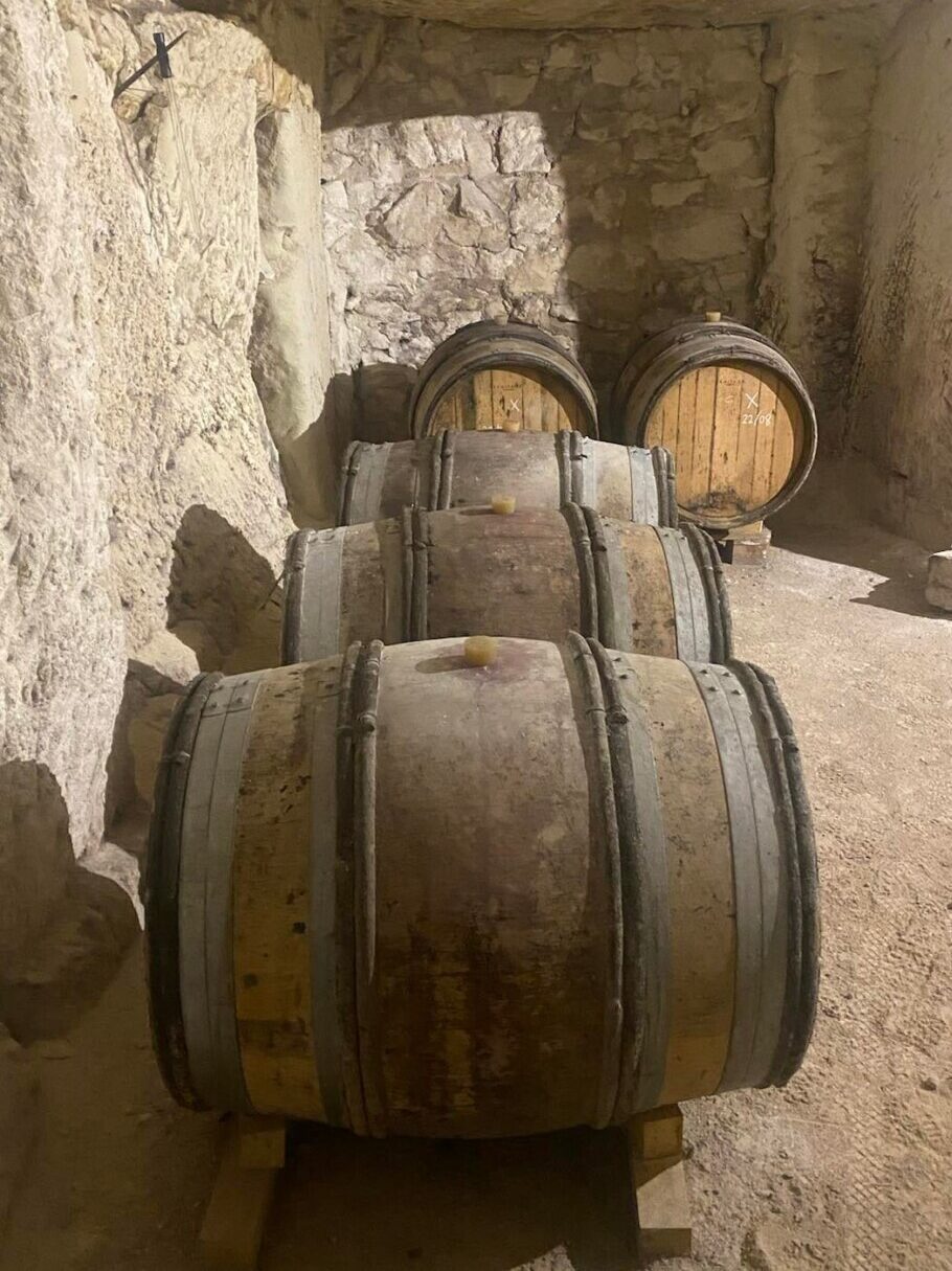 {{brizy_dc_image_alt imageSrc=