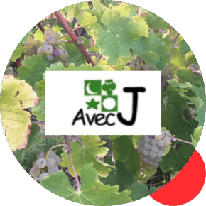 AvecJ