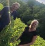 {{brizy_dc_image_alt imageSrc=