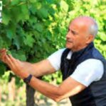 {{brizy_dc_image_alt imageSrc=