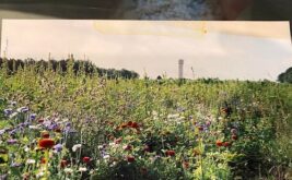 domaine-des-bois-lucas_1