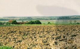 domaine-des-bois-lucas_2