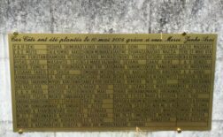 {{brizy_dc_image_alt imageSrc=