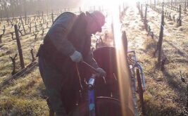 domaine-des-bois-lucas_6