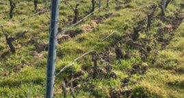 domaine-des-bois-lucas_14