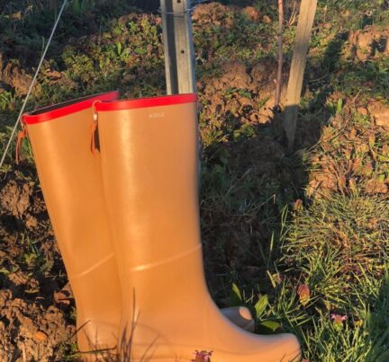 {{brizy_dc_image_alt imageSrc=