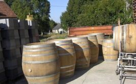domaine-des-bois-lucas_8