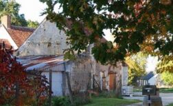 {{brizy_dc_image_alt imageSrc=