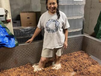 {{brizy_dc_image_alt entityId=