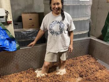 {{brizy_dc_image_alt entityId=