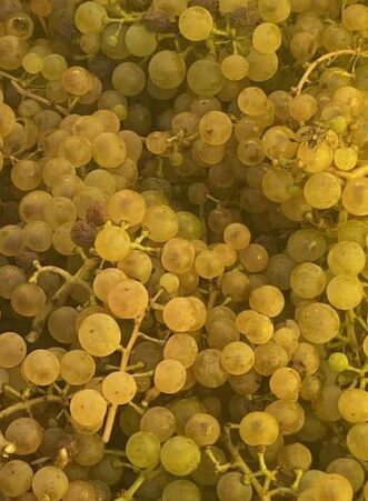 romorantin_image